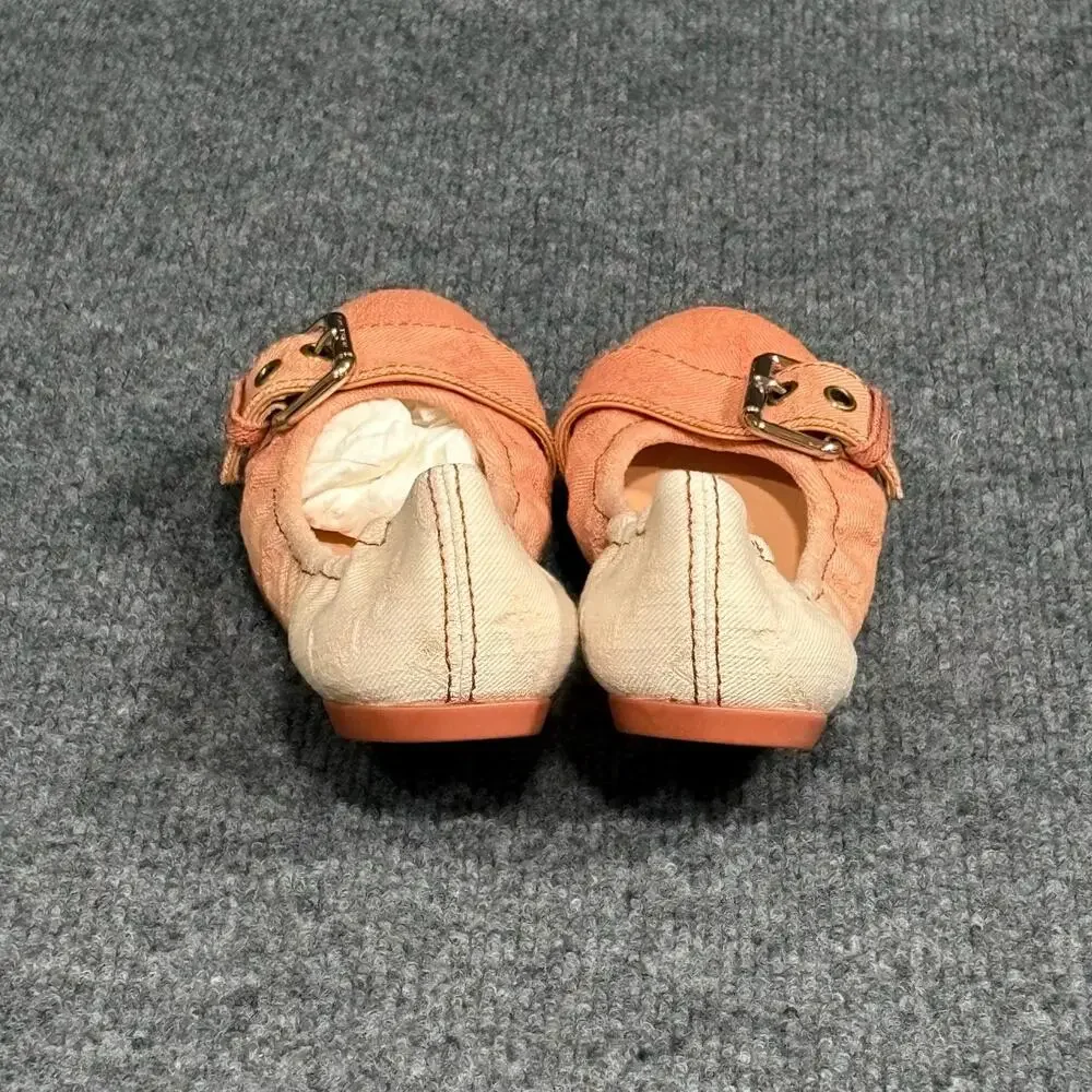 Louis Vuitton brand louis